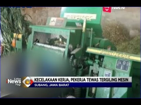 Akibat Kecelakaan Kerja, Pria Tewas Tergiling Mesin Pakan Ternak Sapi - LIP 10/05