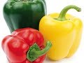 7 Ricette con Peperoni Facili e Gustose - 7 Recipes with Easy and Tasty Peppers
