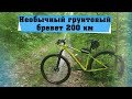 Необычный грунтовый веломарафон бревет на 200 км