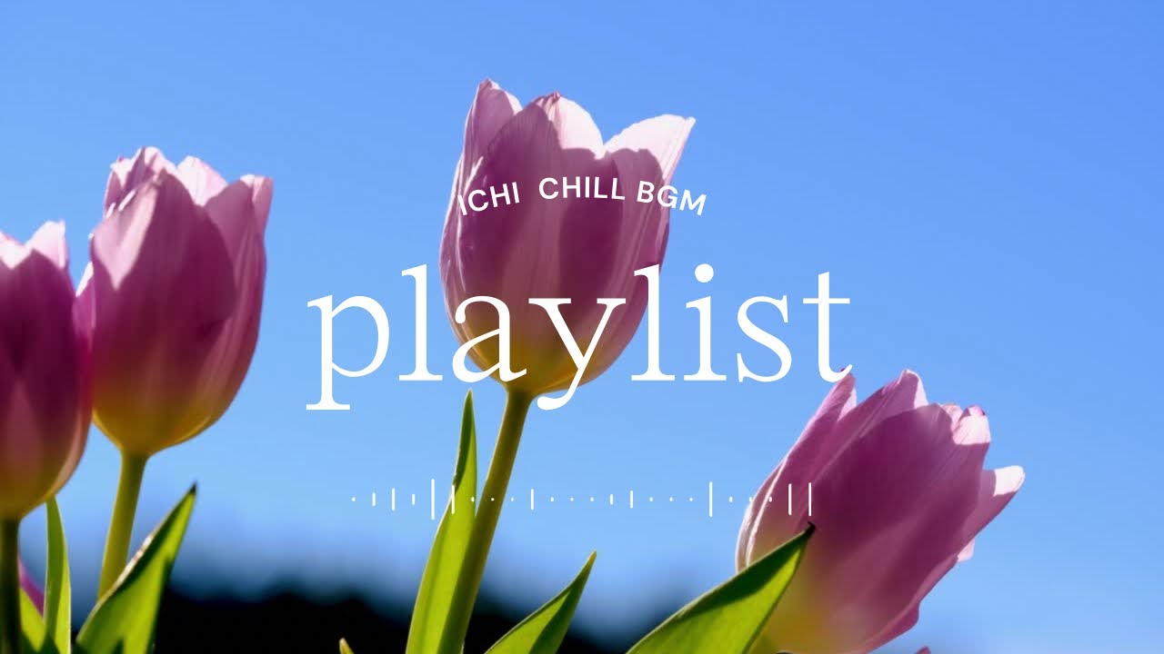 洋楽playlist】60分耐久｜作業BGM︱勉強・仕事かけ流し｜チル洋楽BGM