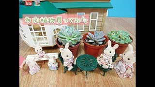 多肉植物買ってみた | シルバニアファミリー | Succulent plant × Sylvanian Families