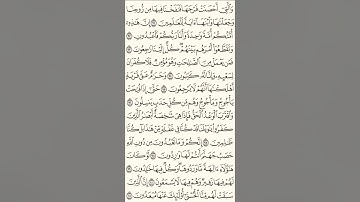 سورة الأنبياء 91-101