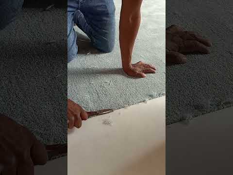 تركيب سجاد و موكيت و لاند سكيب وبلاطات الموكيت 01277057770 01002748864