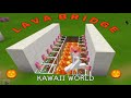 Lava Bridge | Minecraft Tips & Tricks in Kawaii World