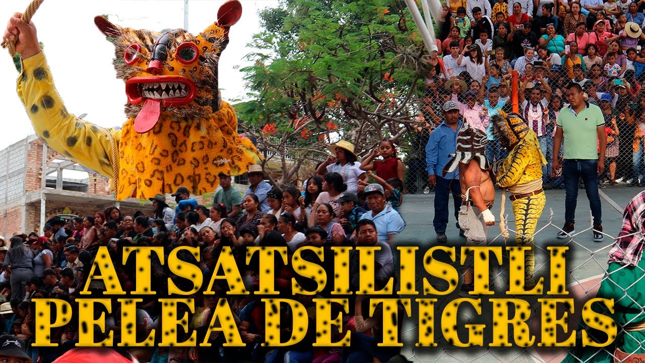 PELEA DE TIGRES 2023, EL  ATSATSILISTLI, RITUAL DEL JAGUAR.
