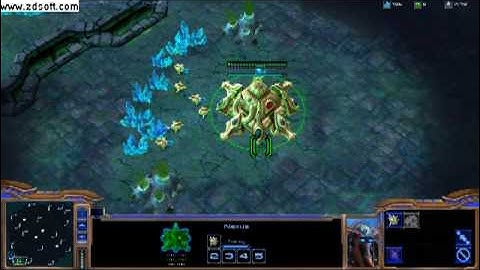 Starcraft LAG