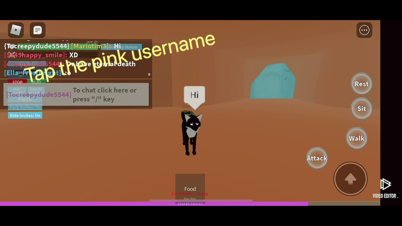 Command For Private Chat In Roblox