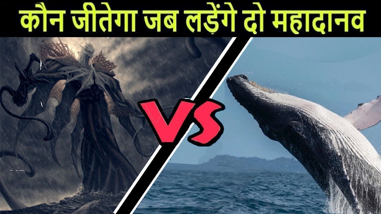 Kraken Vs Blue Whale