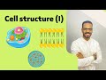 Cell Structure I Biology 1st Secondary Egypt 1st Term Unit 2 ابراهيم خلف 