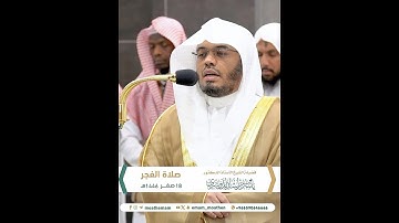 فأصبح يقلب كفيه على ما أنفق فيها وهي خاوية على عروشها~تلاوة مؤثرة بصوت الشيخ ياسر الدوسري