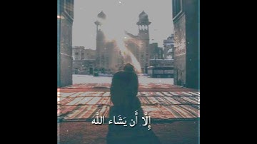 قرآن كريم بصوت ياسر الدوسري | حالات واتس اب دينية - سورة الكهف