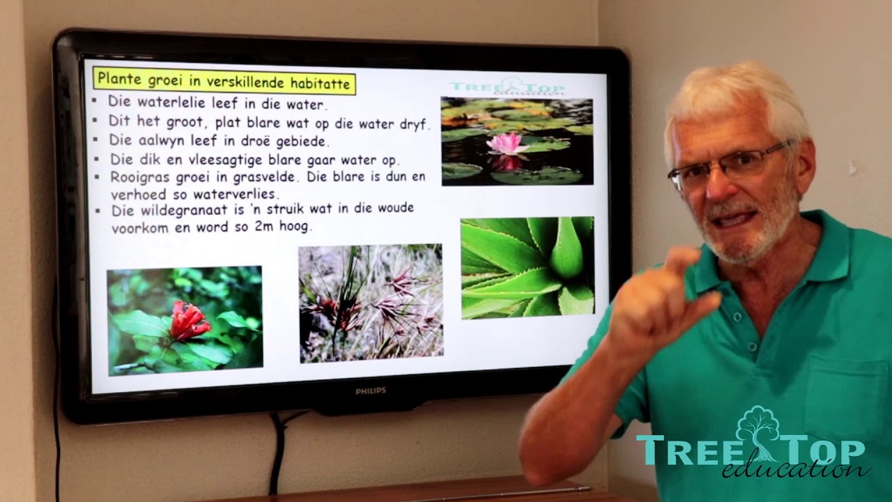 NWT Gr 5 Kwartaal 1   Les 1