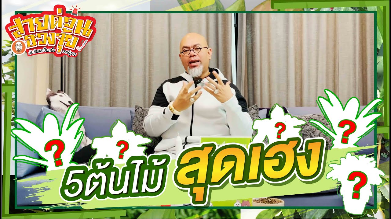 ฮ วง จุ้ย ปลูก ต้นไม้ หน้า บ้าน New Update 5 ต้นไม้สุดเฮง - สายด่วนฮวงจุ้ย l ฉบับซินแสเป็นหนึ่ง วงษ์ภูดร