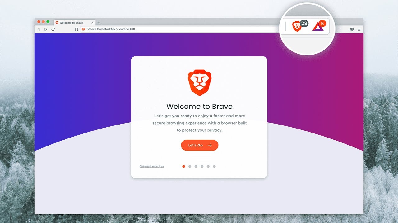 brave privacy brave privacy