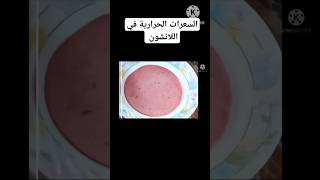 السعرات الحرارية في اللانشون #chip #cooking #food