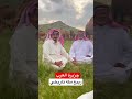 ربيع مكه تاريخي جزيره العرب مروج والنهار