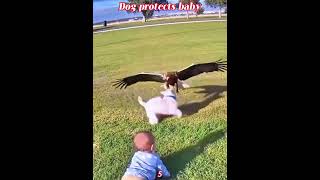 Download Lagu Phillies land All-Star closer Jhoan Duran ahead of MLB trade deadline 👀🔥 MP3