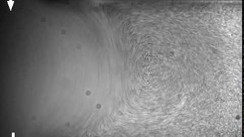 Steinberg vortex flow