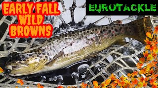 Early Fall Wild Trout Fishing Adventure (Gunpowder Falls)