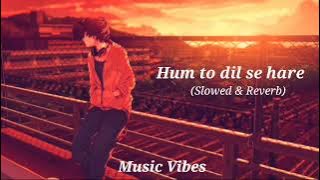 Haare Haare song || Hum to dill se haare (Slowed & Reverb) || By Music Vibes