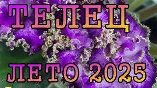 ТЕЛЕЦ таро прогноз на ЛЕТО 2025 года июнь, июль, август