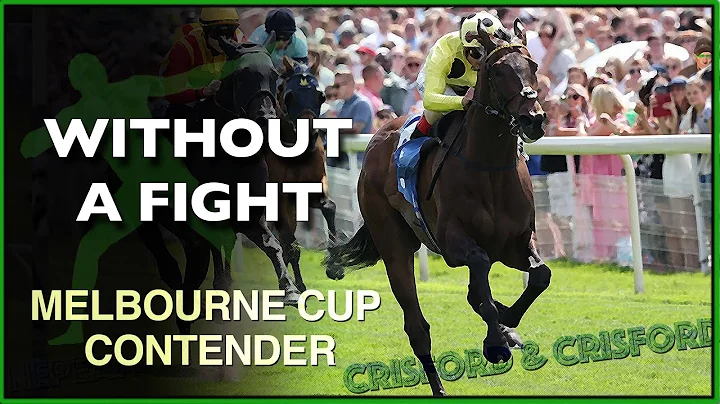 WITHOUT A FIGHT | 2022 Melbourne Cup Contender