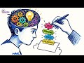 Lesson 6 Year 11 English The Reflective Practitioner - Metacognition in Writing
