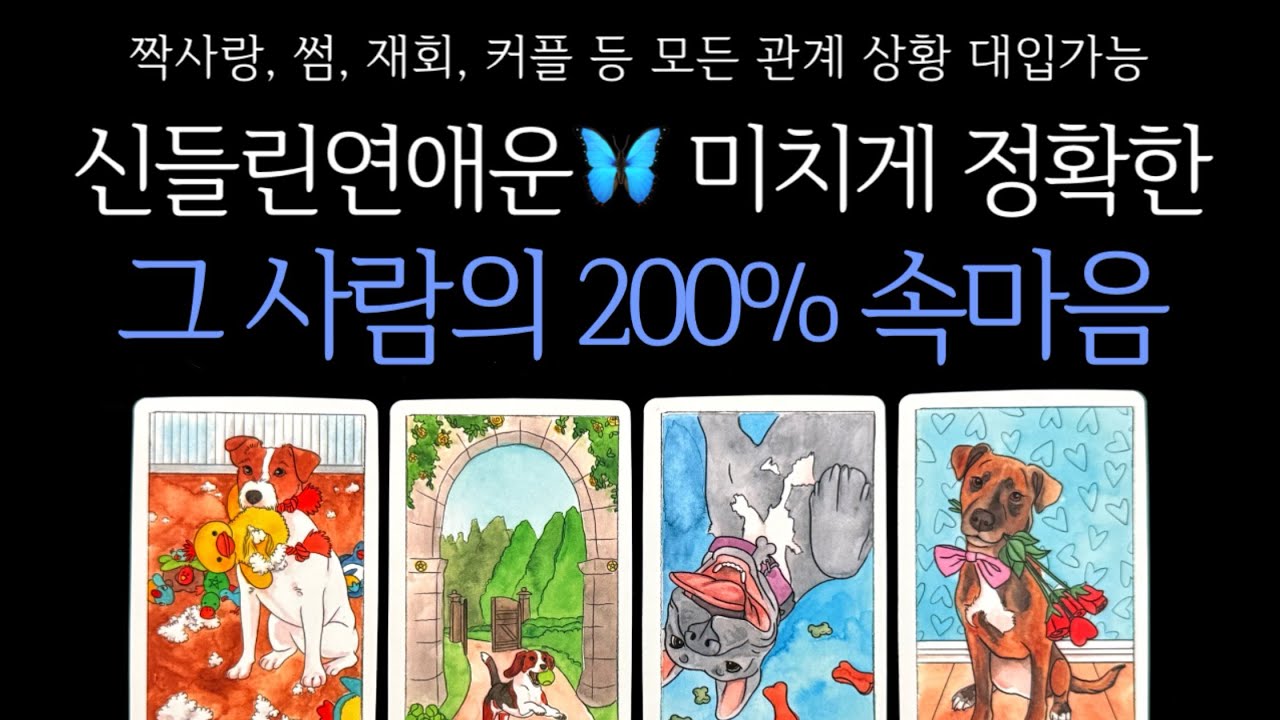 [타로] 신들린연애운🦋 미치게 정확한 그 사람의 200% 속마음