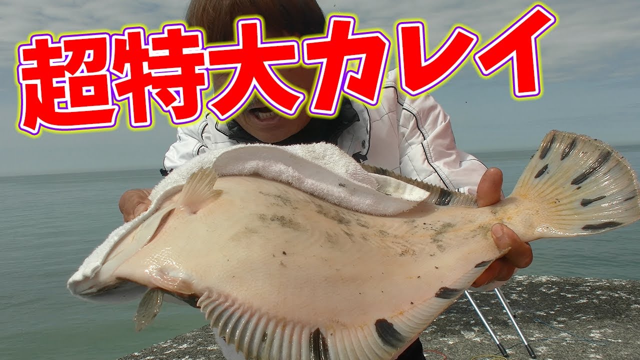 【ここまで大きいカレイ見たことある！？】ダーツの釣り！北海道リベンジ編【第2話】