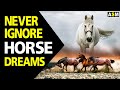 What does horse dream meaning  dreaming of horse mean  horse dream interpretation