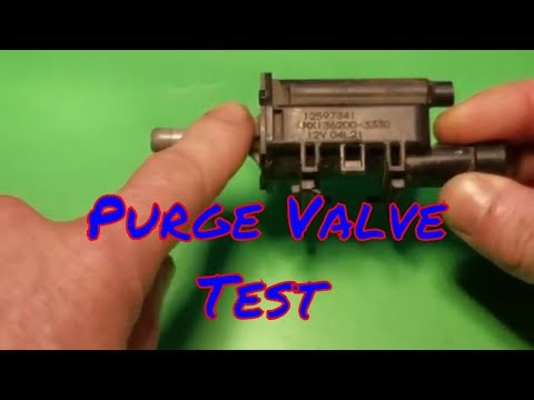 P0496 P0455 P0456 P0442 EVAP Purge Valve Test