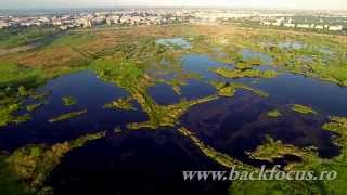 Unbelievable Natural Park in city | Parcul Natural Vacaresti -Delta Bucurestiului (Aerial Video)