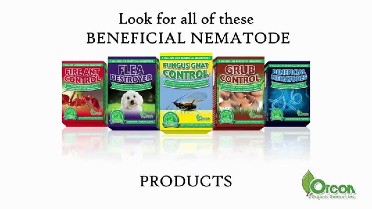 Beneficial Nematodes - Organic Control, Inc.