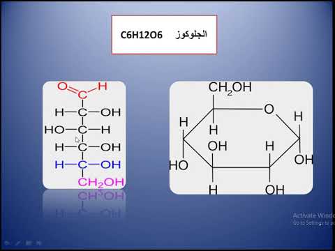 فيديو: لماذا ينقلب جلوكوز بيتا؟