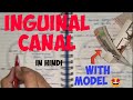 Inguinal Canal (1/3) | Boundaries and Contents | Anatomy | Abdomen