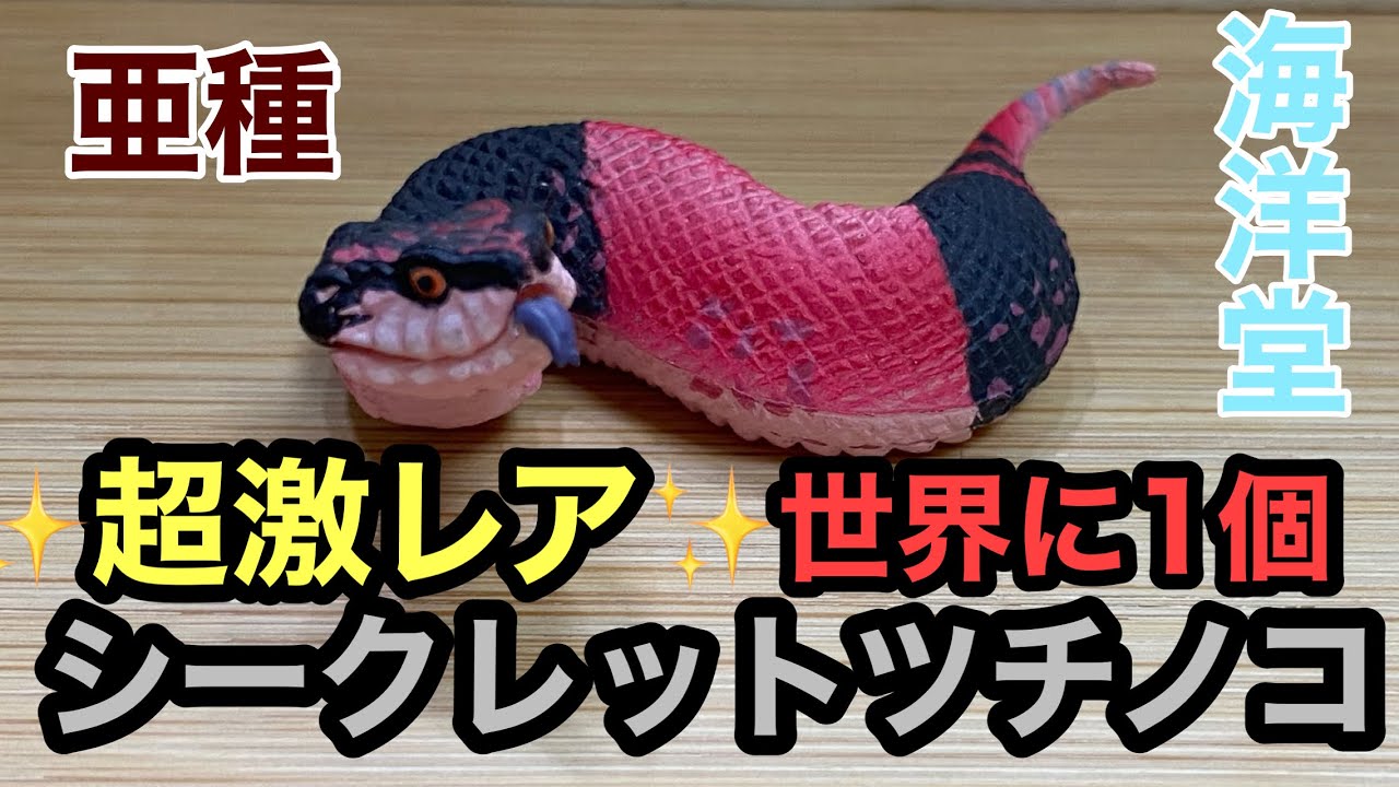 超激レア！世界に1個のツチノコ 海洋堂 カプセルQ チョコエッグ 松村