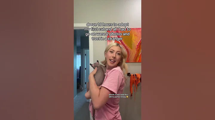 Watch the video about My cat cost $3000 to adopt #cats #catshorts #trend #sphynx #sphynxcat #animals #comedy #adoption