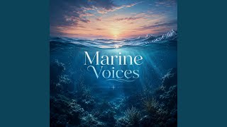 Oceanic Pulse
