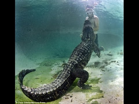springs rainbow state park alligators florida swimming parks choose board crocodile