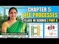 Life Processes | Class 10 Science Chapter 5 | NCERT | Part 5 | CBSE Board |