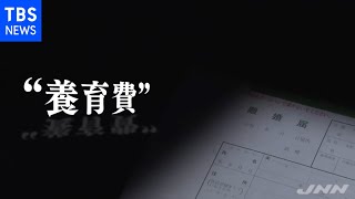 貧困を招く養育費不払い問題 なぜ受け取れない？