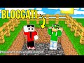 MINECRAFT MA IL GIOCO TI IMPEDISCE DI SALIRE