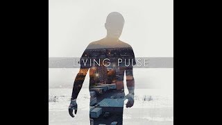 Living Pulse - The Chapman run