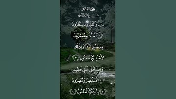 سورة القلم ن والقلم ومايسطرون ماأنت بنعمة ربك بمجنون الاية ١ إلى الآيه ٧