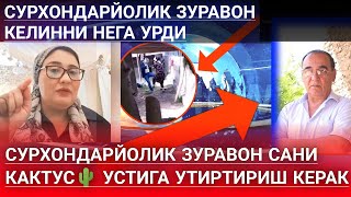 СУРХОНДАРЙОЛИК_ЗУРАВОН КЕЛИННИ...НЕГА КАЛТАКЛАДИ ??? 😱😱😱 СУРХОНДАРЙОЛИК_ЗУРАВОН КЕЛИННИ...НЕГА КАЛТАКЛАДИ ??? 😱😱😱