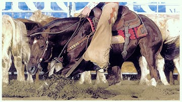 RDVideo - Acres Of Time - Quarter Horse Stallion 1996 (Bob Acre Doc x One Time Soon)