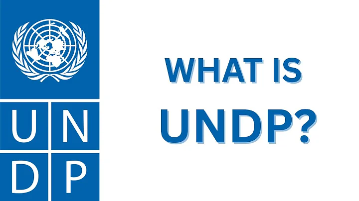 WHAT IS UNDP?