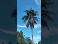 Indahnya cuaca siang hari tanjung pandan belitung #pocof4