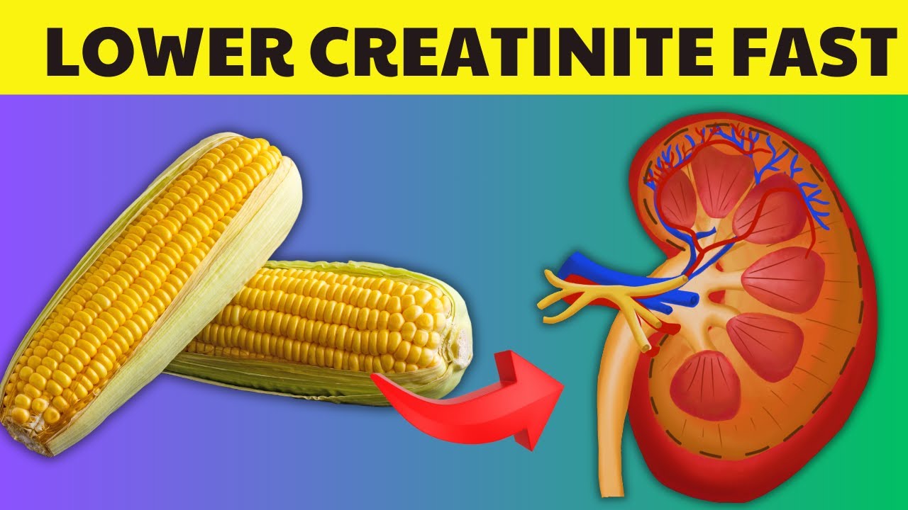 MUST TRY!!! 5 These Superfoods to Reduce Creatinine Fast and Improve ...