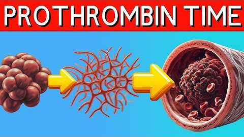 Prothrombin time explained.  Prothrombin Time vs INR